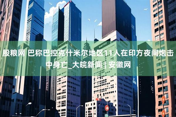 股粮网 巴称巴控克什米尔地区11人在印方夜间炮击中身亡_大皖新闻 | 安徽网