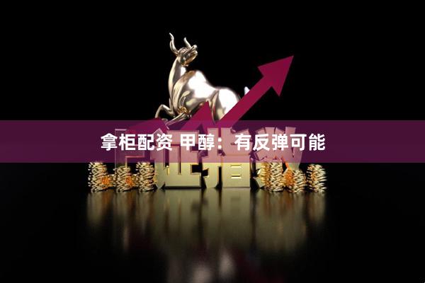 拿柜配资 甲醇：有反弹可能