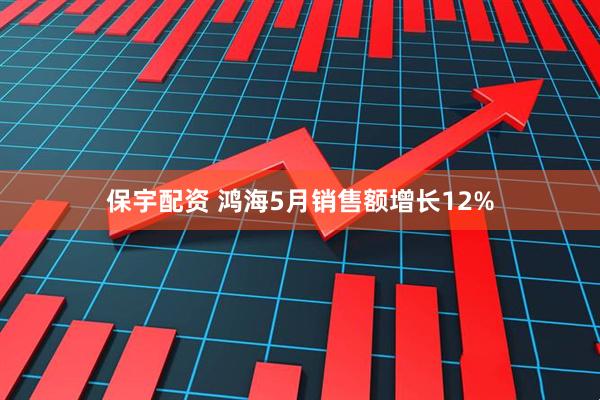 保宇配资 鸿海5月销售额增长12%