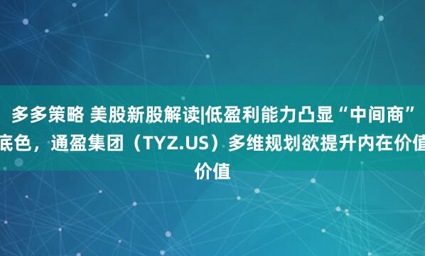 多多策略 美股新股解读|低盈利能力凸显“中间商”底色，通盈集团（TYZ.US）多维规划欲提升内在价值
