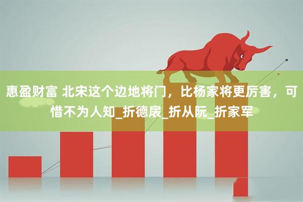 惠盈财富 北宋这个边地将门，比杨家将更厉害，可惜不为人知_折德扆_折从阮_折家军