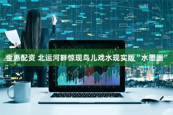 金惠配资 北运河畔惊现鸟儿戏水现实版“水墨画”