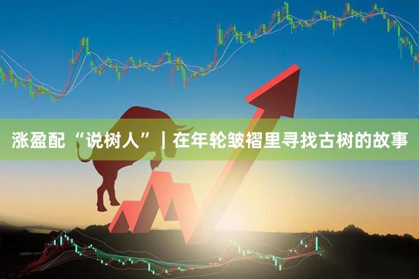 涨盈配 “说树人”｜在年轮皱褶里寻找古树的故事
