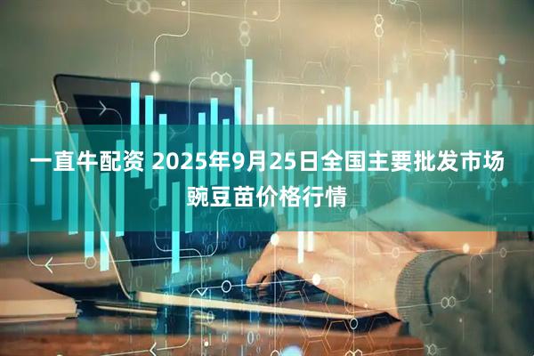 一直牛配资 2025年9月25日全国主要批发市场豌豆苗价格行情
