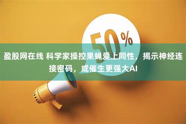 盈股网在线 科学家操控果蝇爱上同性，揭示神经连接密码，或催生更强大AI