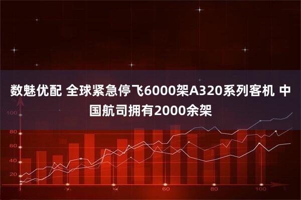 数魅优配 全球紧急停飞6000架A320系列客机 中国航司拥有2000余架
